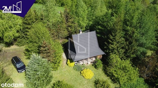 Cisna - nieruchomość z agroturystyką