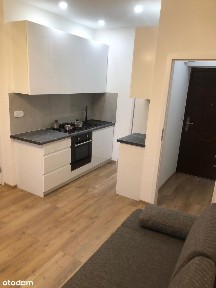 Mieszkanie do wynajęcia