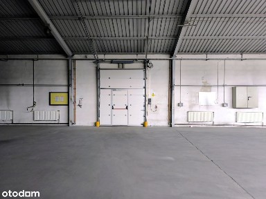 Dąb, Katowice, śląskie