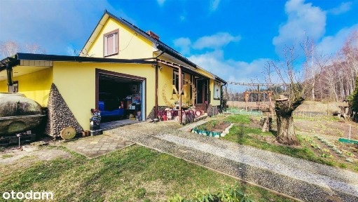 Nowa Wieś, Wielgie, lipnowski, kujawsko-pomorskie