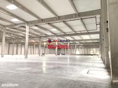 Do wynajęcia nowy magazyn blisko Warszawy
