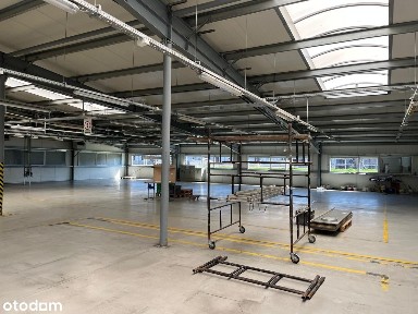 Świebodzin, świebodziński, lubuskie