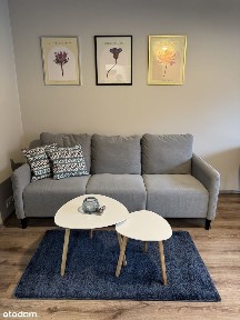 Mieszkanie po remoncie w centrum Gliwic