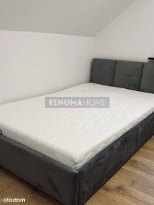 Mieszkanie 2 pokoje, Bielawa