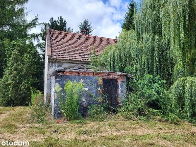 Lutynia | dom, działka, budynek | 1700 m2 | pełne media |