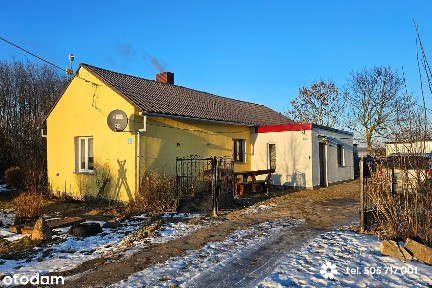 Siedlisko na Kujawach. Działka 6408 m2, blisko Włocławka