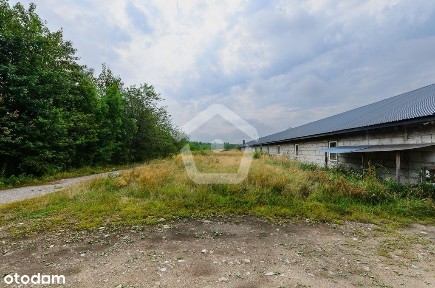 Głogów Małopolski, rzeszowski, podkarpackie