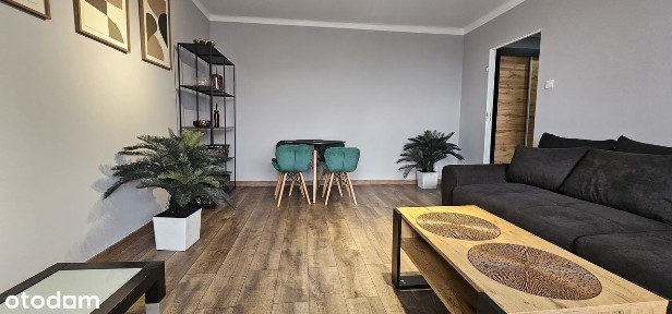 *Sielec/dwa pokoje z balkonem/wchodzisz i mieszkasz*