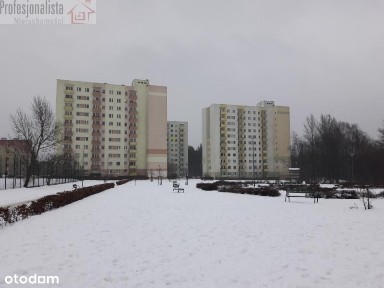 Bdb lkokalizacja, 3 km do Cenrtum, szybkie wydanie