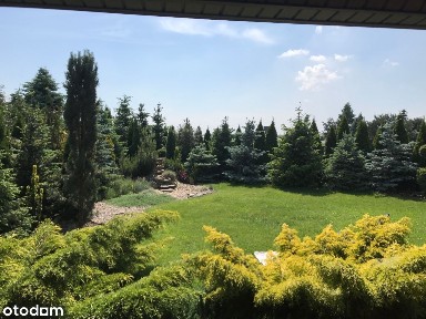 Wojciechówka, Żelazków, kaliski, wielkopolskie