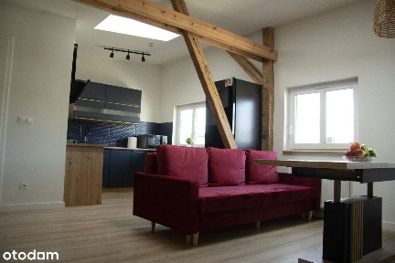 Słoneczne mieszkanie do wynajęcia w centrum Szczecina