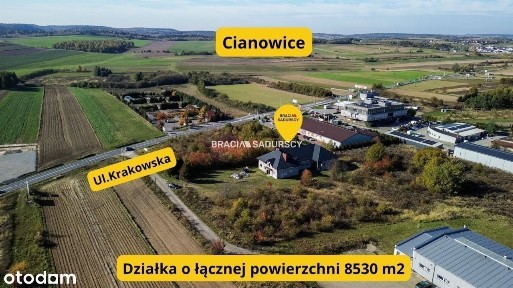 Krakowska, Cianowice, Skała, krakowski, małopolskie