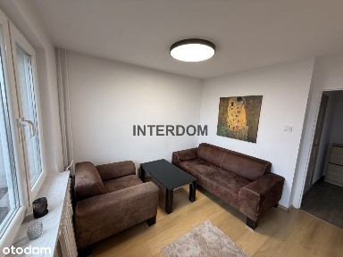 Topolowa, Łęknice, Zielona Pogoria, Dąbrowa Górnicza, śląskie