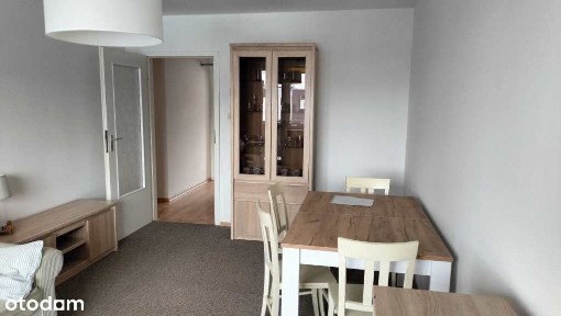 ul. Cisowa, Osiedle Leśne, Centrum, Zielona Góra, lubuskie