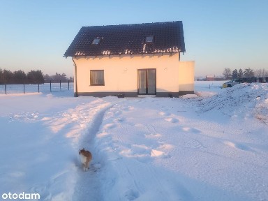 Dom w cenie mieszkania w Kwidzynie i 20 Arów działki! Światłowód