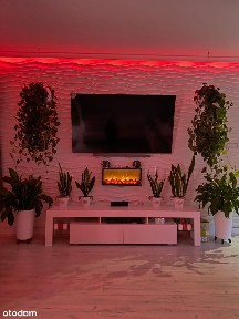 Szczecinek, szczecinecki, zachodniopomorskie