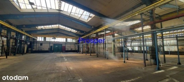 Produkcja od 1000m2 do 3000m2 Z Suwnicami 2 X 5T