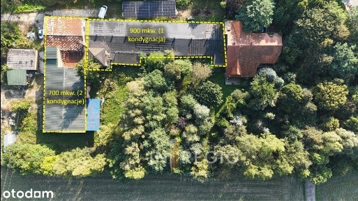 Roberta Kocha, Tuszyn, łódzki wschodni, łódzkie