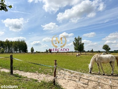 Gospodarstwo 22ha z dostępem do natury - Psary!