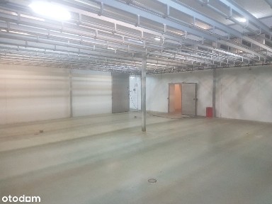 Czechy, Kłecko, gnieźnieński, wielkopolskie