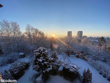 ul. Belgradzka, Piecki-Migowo, Gdańsk, pomorskie