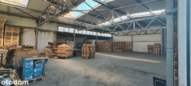 Hale 1520m2, Piotrków Trybunalski