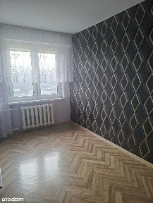 Stanisława Witkacego, Zgierz, zgierski, łódzkie