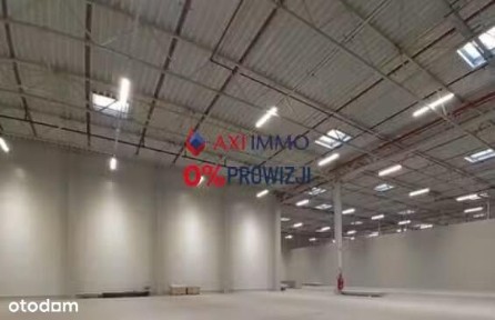 Do wynajęcia nowa hala 10000 mkw. lub mniej, Rzeszów