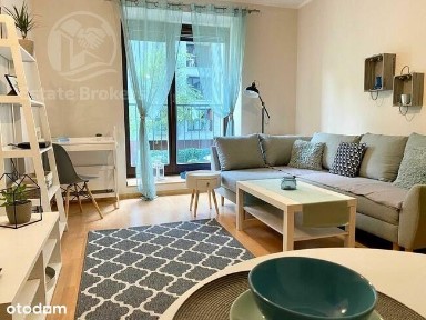 Angel Wings | na pól roku | Centrum | 2000 Pln