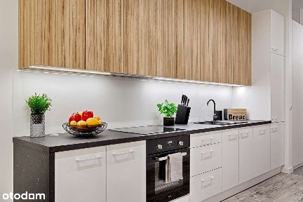 WYJĄTKOWE MIESZKANIE LOFTY U SCHEIBLERA | 57,25 m² ŁÓDŹ TYMIENIECKIEGO