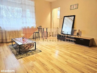 Kawalerka w uroczym zakątku Pogodna!