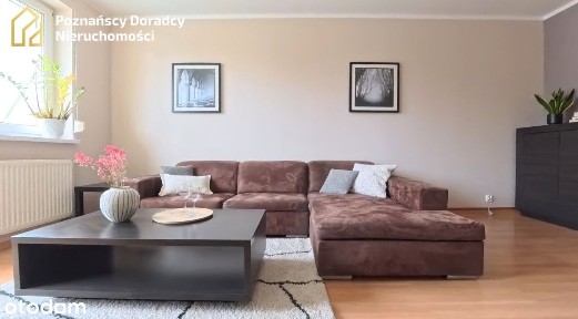 Przestronne 2-pokojowe mieszkanie- piwnica+hala