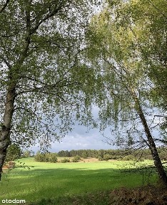 Tręby Stare, Kleczew, koniński, wielkopolskie