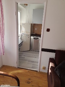 piekne mieszkanie do wynajęcia