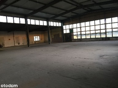 Radzyń Podlaski, radzyński, lubelskie