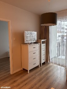 ul. Niepołomicka, Orunia Górna - Gdańsk Południe, Gdańsk, pomorskie