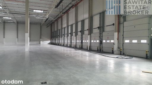 Hala Klasy A przy S10