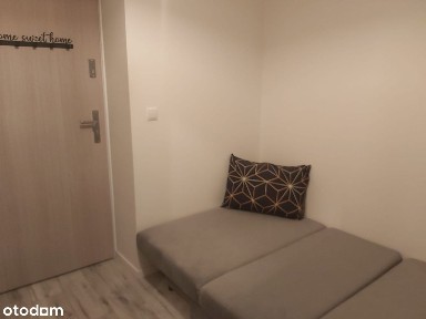 Clean Renovated Apartment for rent in the Center of Warsaw- Nowolipki