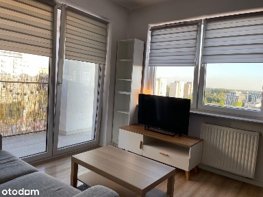 Wilda, Poznań, wielkopolskie