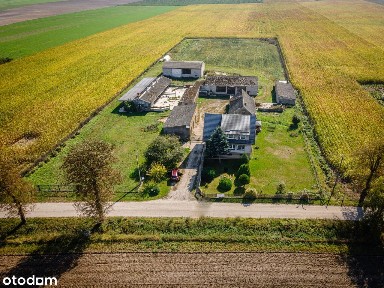 Msłe gospodarstwo rolne z domem i budynkami gospodarczymi