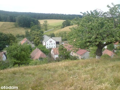 Złotoryja Dom Z Zabudową Gospodarczą