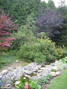 Pesjonat | Inwestycja | Pokrzywna