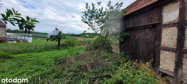 STODOŁA w Rogoźniku