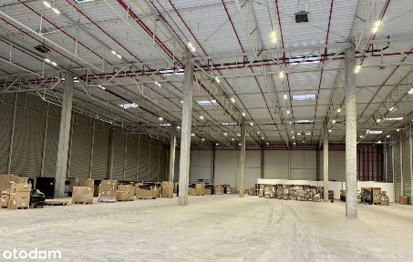 Kowale, DC, przy Obwodnicy, pow. magazynu: 3282 m2, biurowa: 204 m2