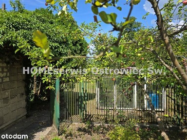 Dom 70 m2 na działce 1500 m2 + wysokie poddasze.