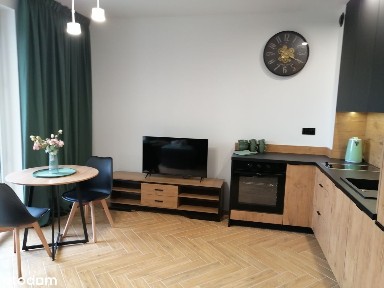 Do wynajęcia mieszkanie typu studio z ogródkiem, w nowym bloku.