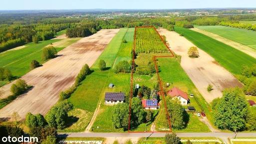 Kotwasice, Malanów, turecki, wielkopolskie