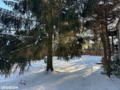 Klasyczny dom z lat 60 otoczony zielenią *REZERWACJA*