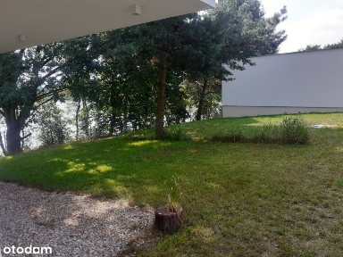 Szczekarzewo, Skępe, lipnowski, kujawsko-pomorskie