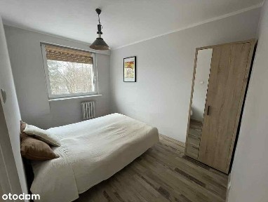 Widok Na Morze Winda Długi Termin Zwierzęta Sopot